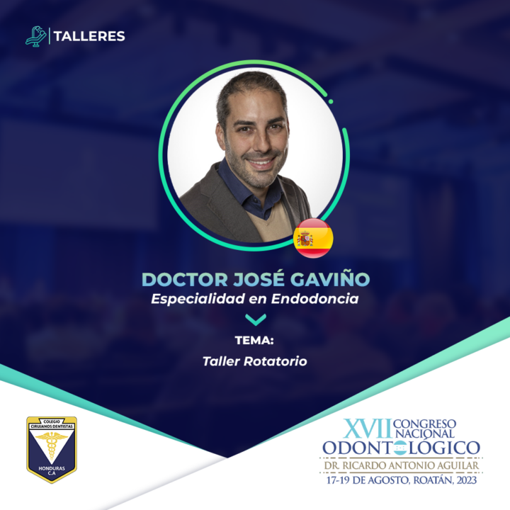 CCDH_D-GAVIÑO_TALLERES