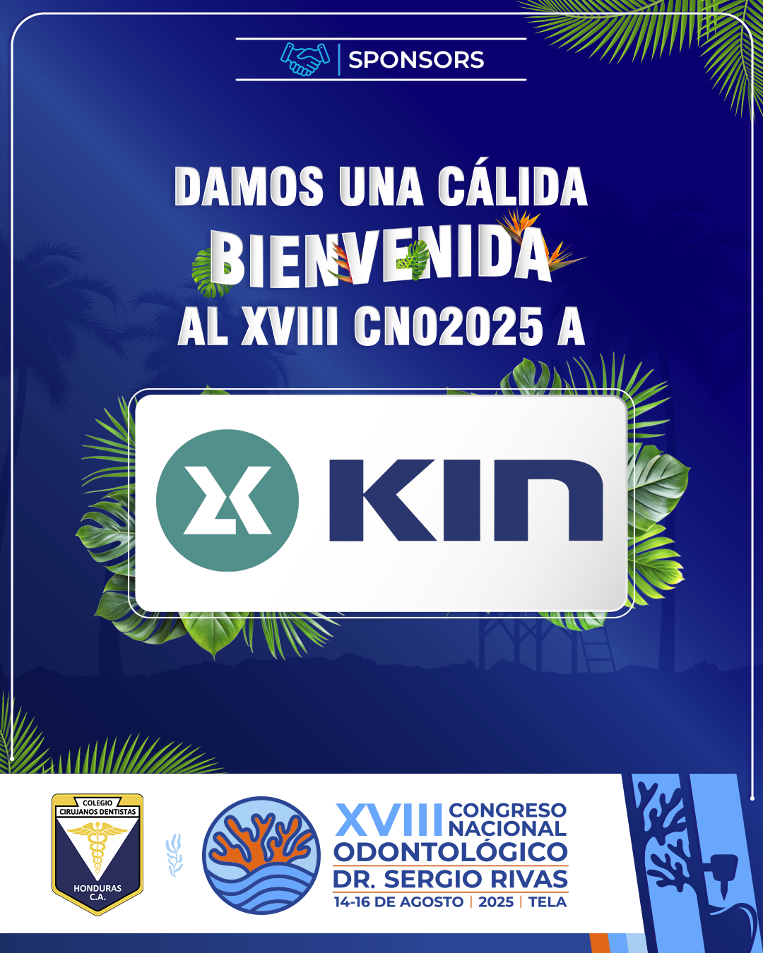 CNO25_CASAS COMERCIALES_KIN