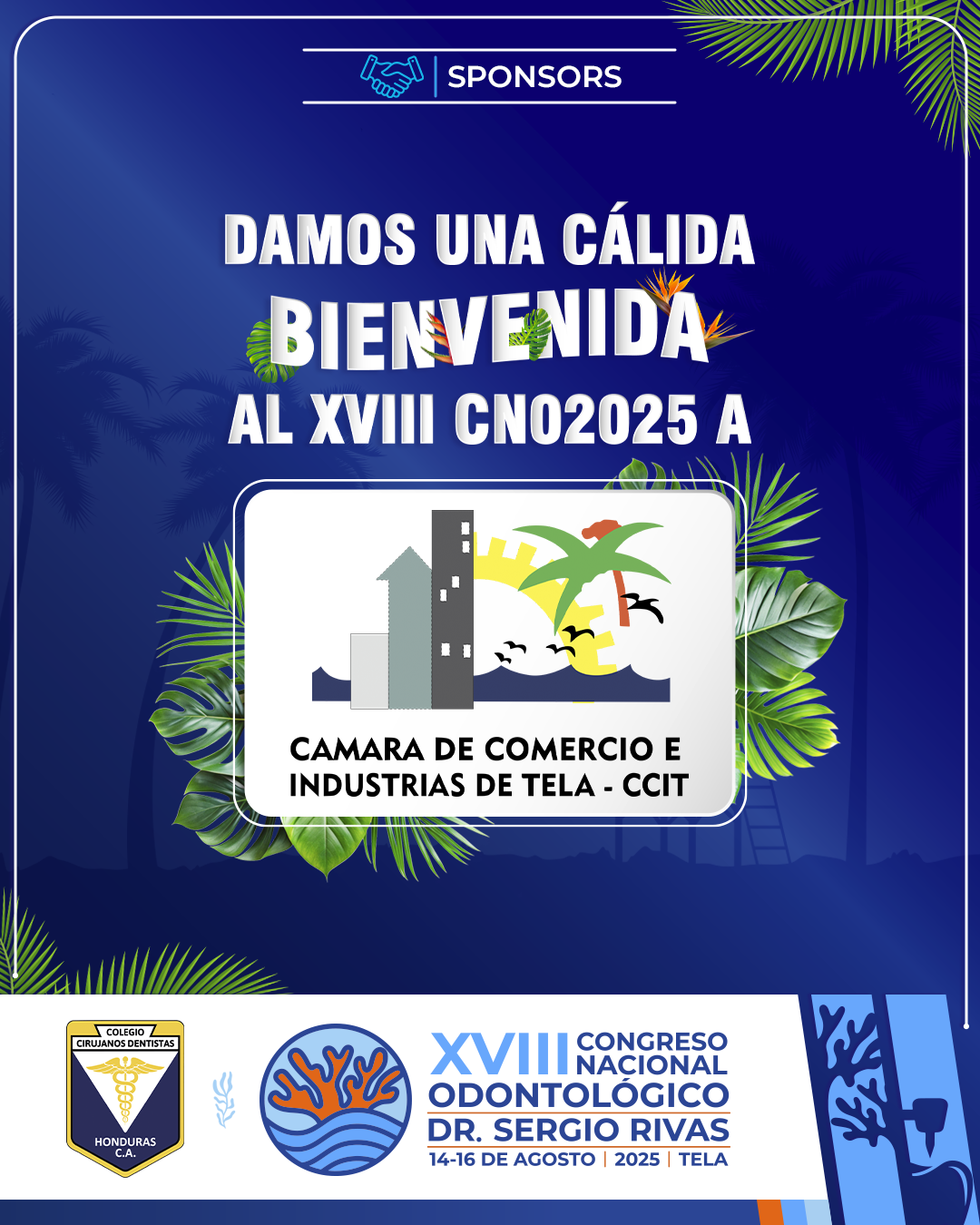 CNO25_CASAS COMERCIALES_CAMARA