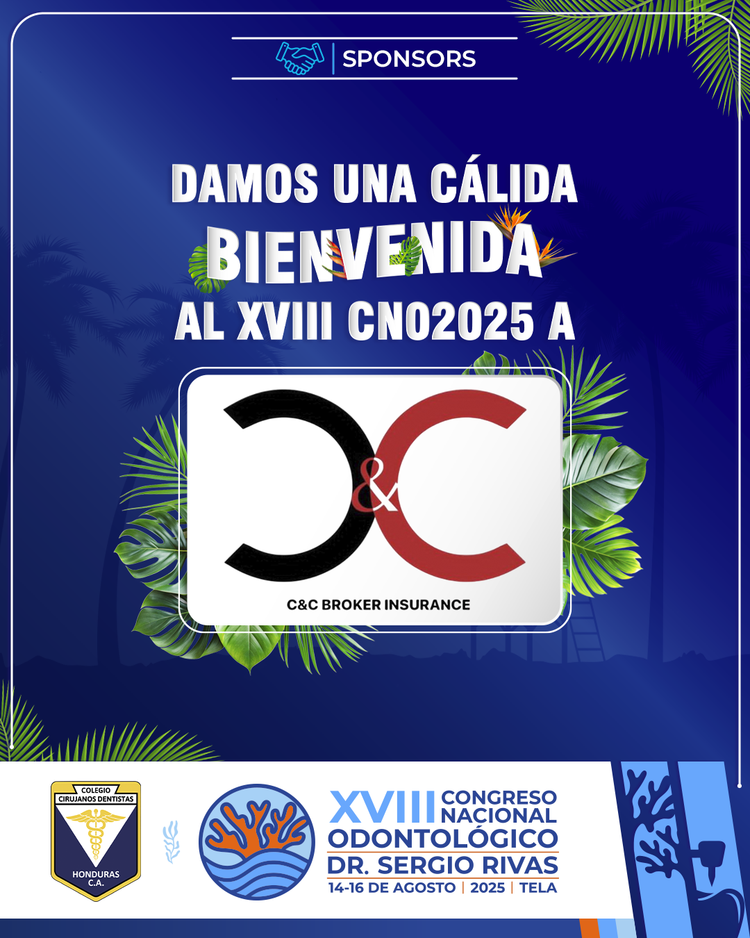 CNO25_CASAS COMERCIALES_CC
