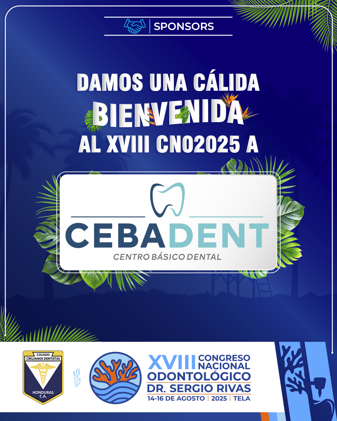 CNO25_CASAS COMERCIALES_CEBADENT