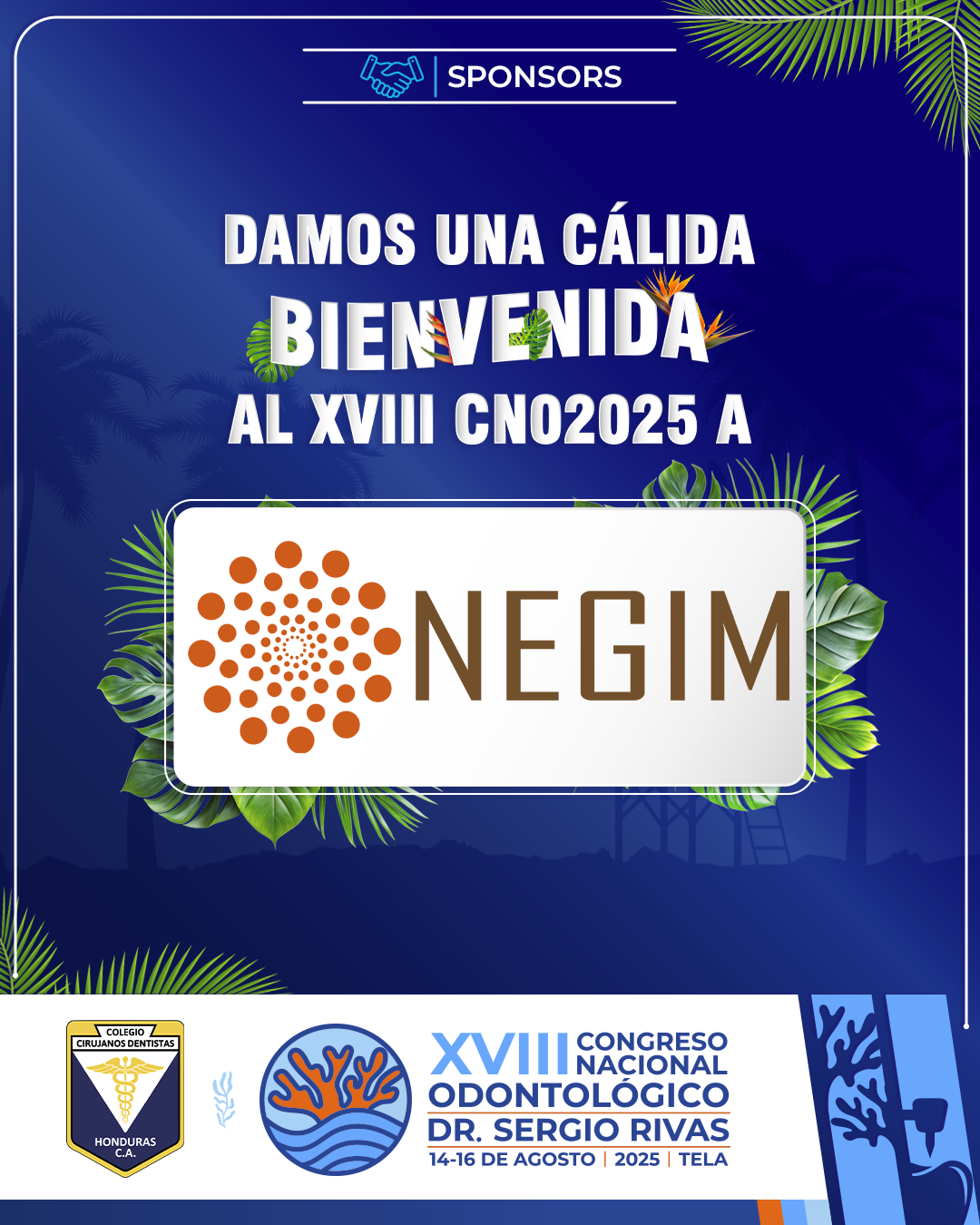 CNO25_CASAS COMERCIALES_NEGIM
