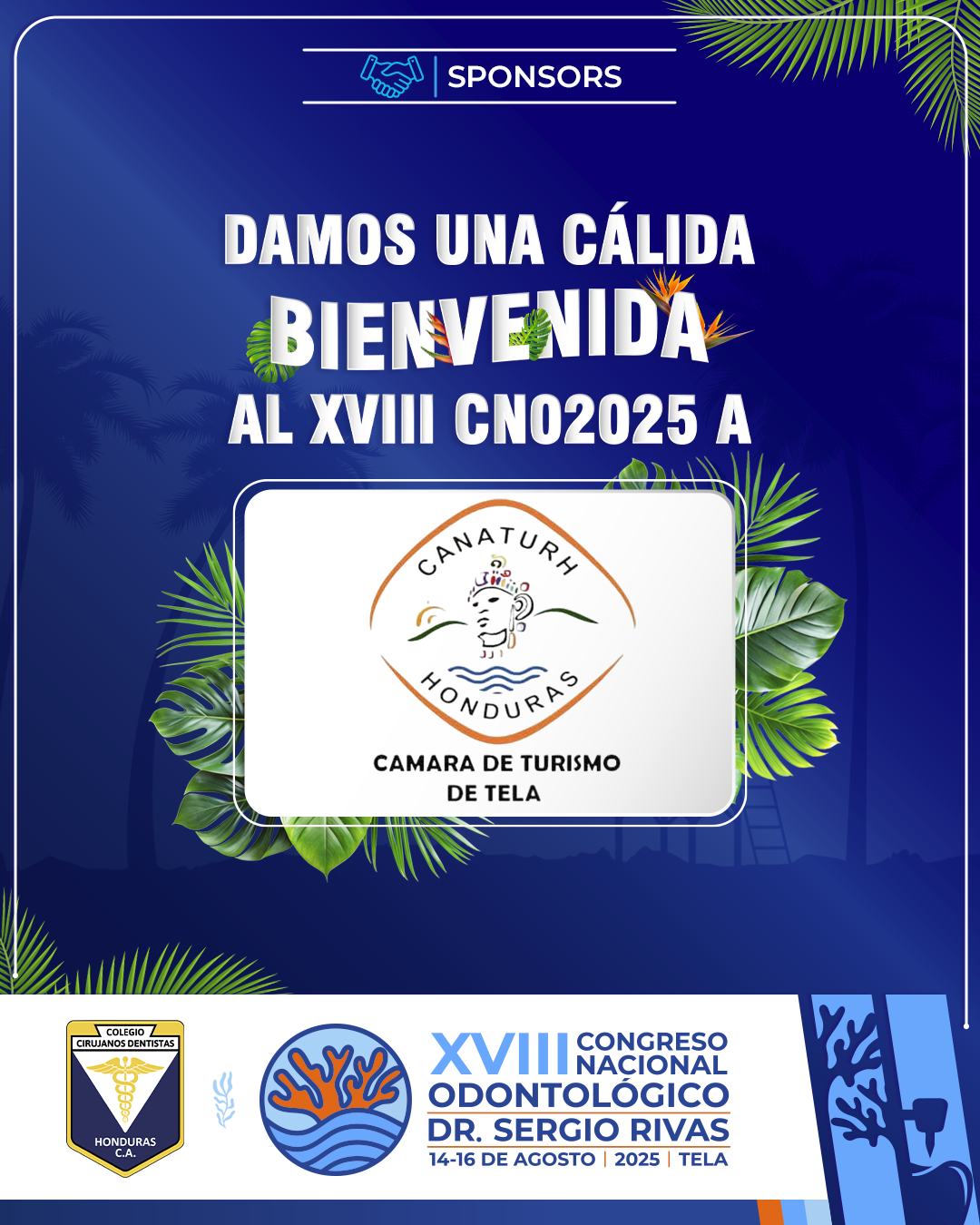 CNO25_CASAS COMERCIALES_TURISMO