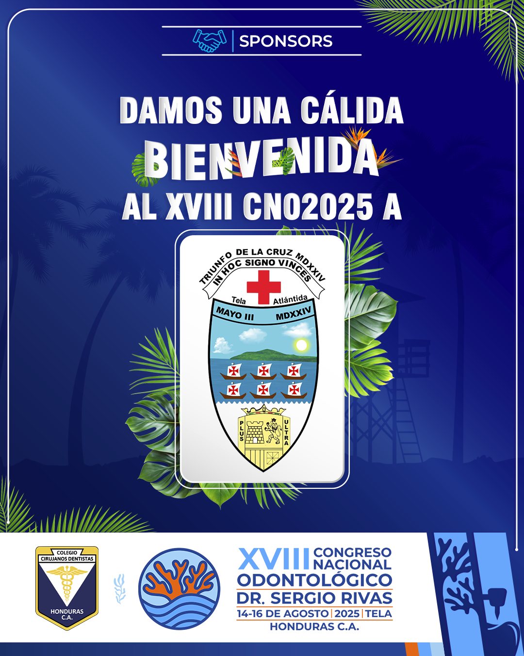 CNO25_CASAS COMERCIALES_ALCALDIA