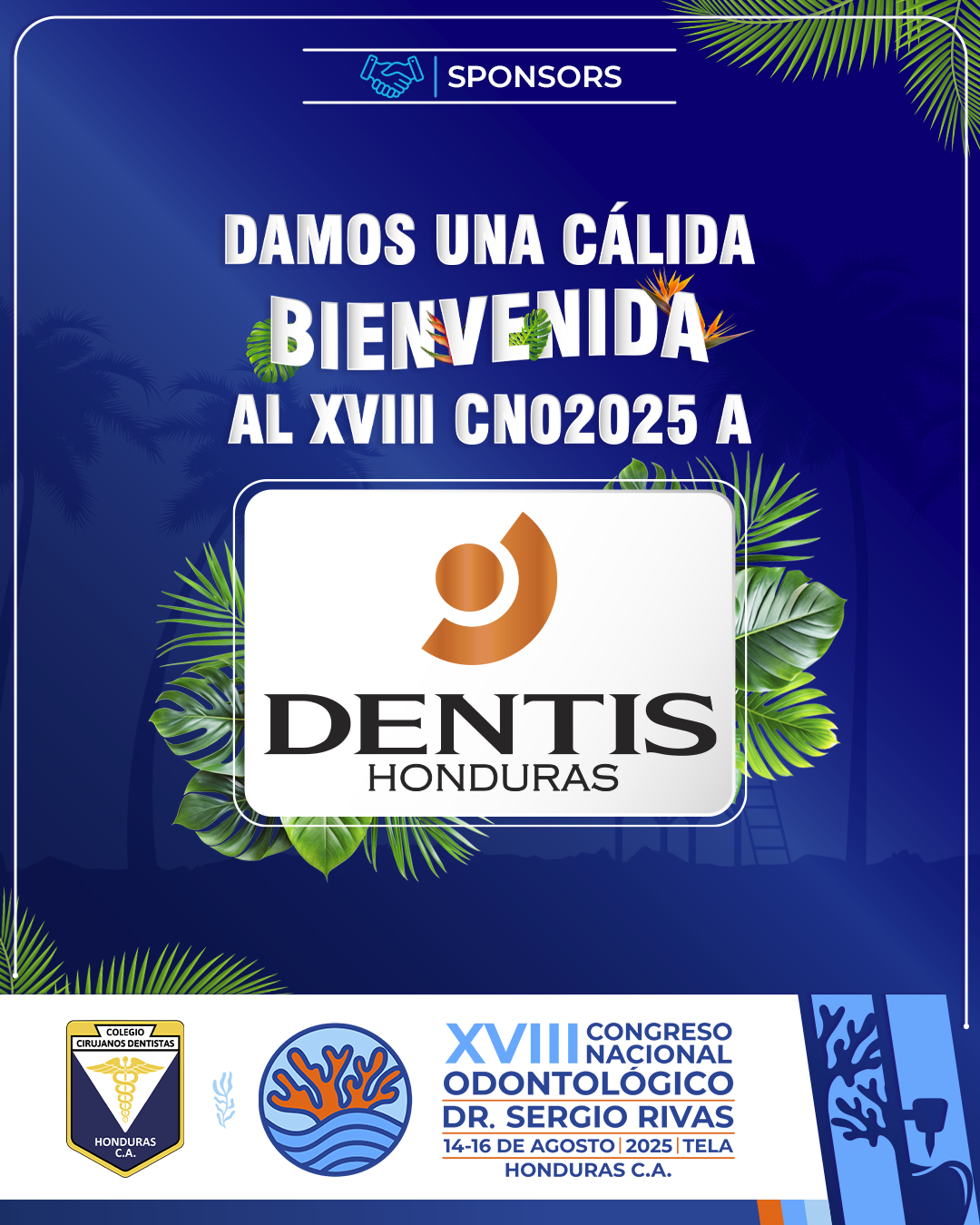 CNO25_CASAS COMERCIALES_DENTIS
