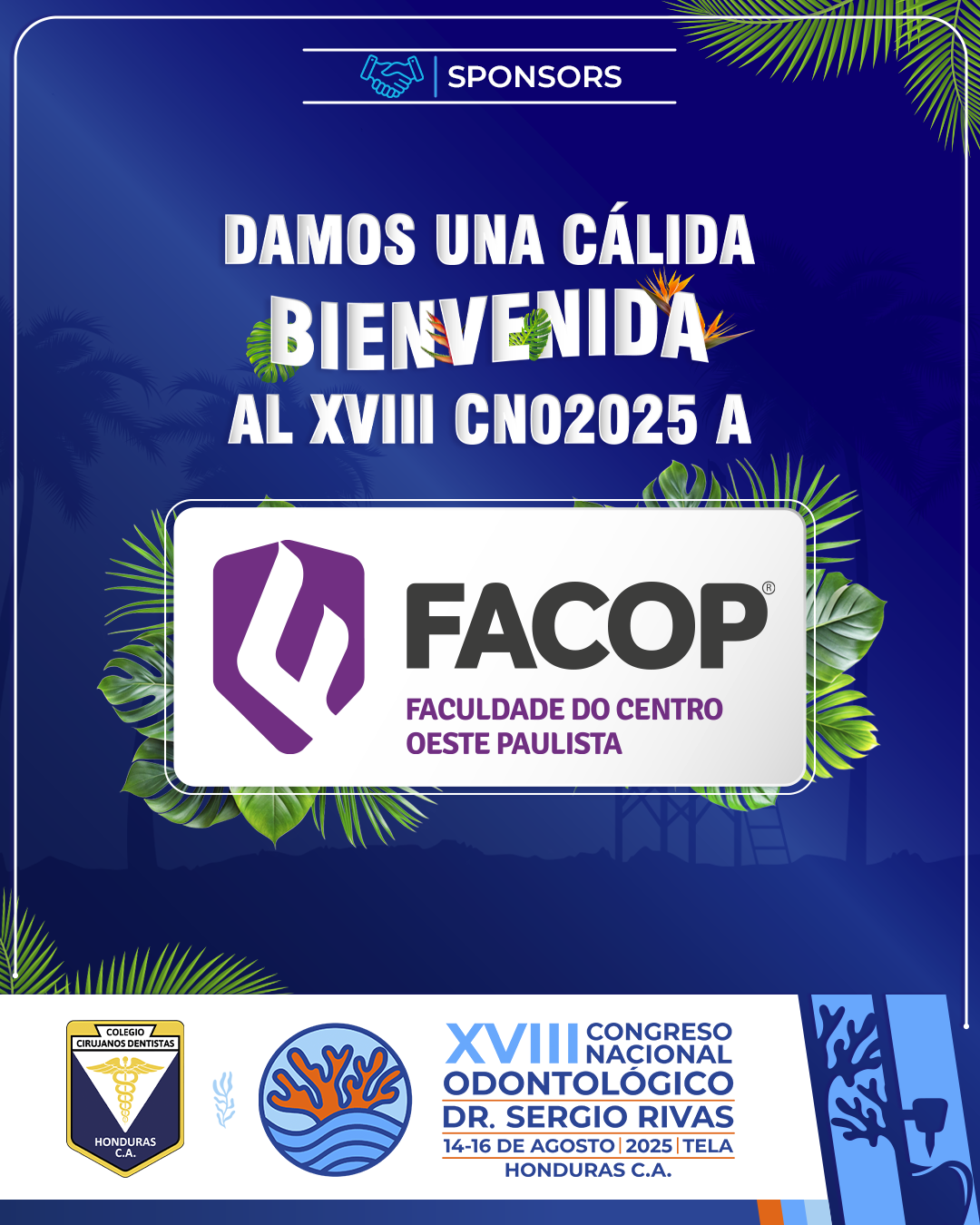 CNO25_CASAS COMERCIALES_FACOP