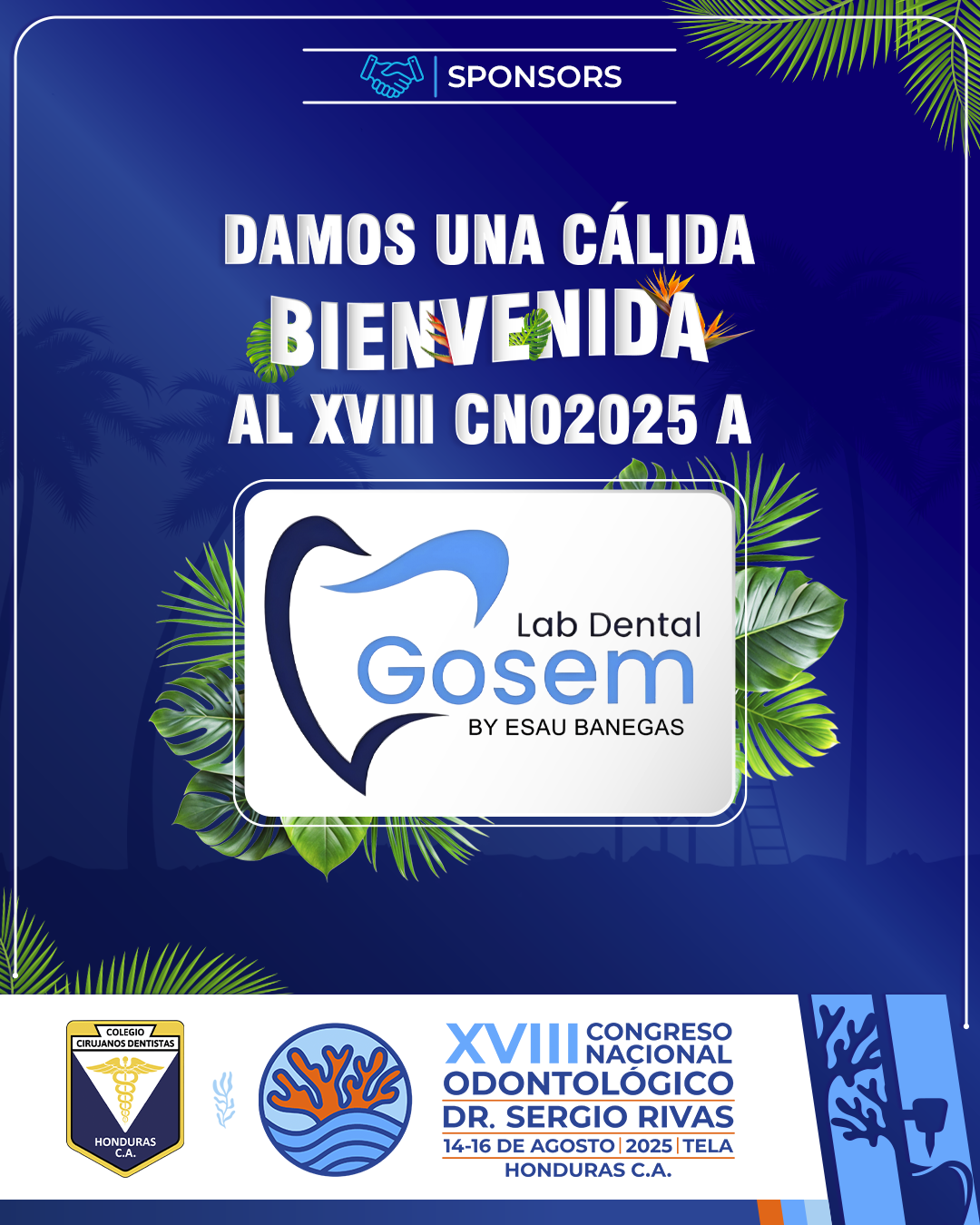 CNO25_CASAS COMERCIALES_GOSEM