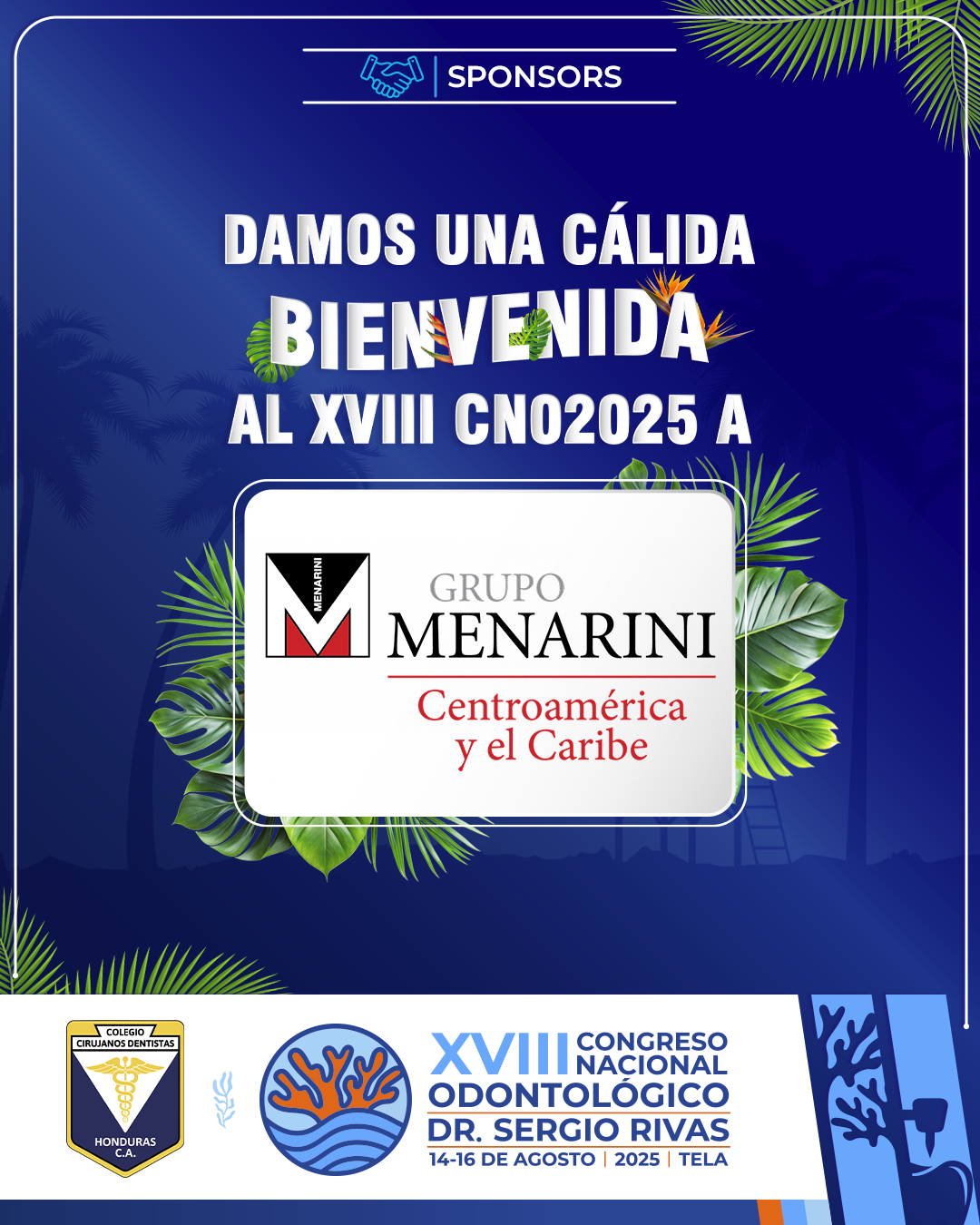 CNO25_CASAS COMERCIALES_MENARINI