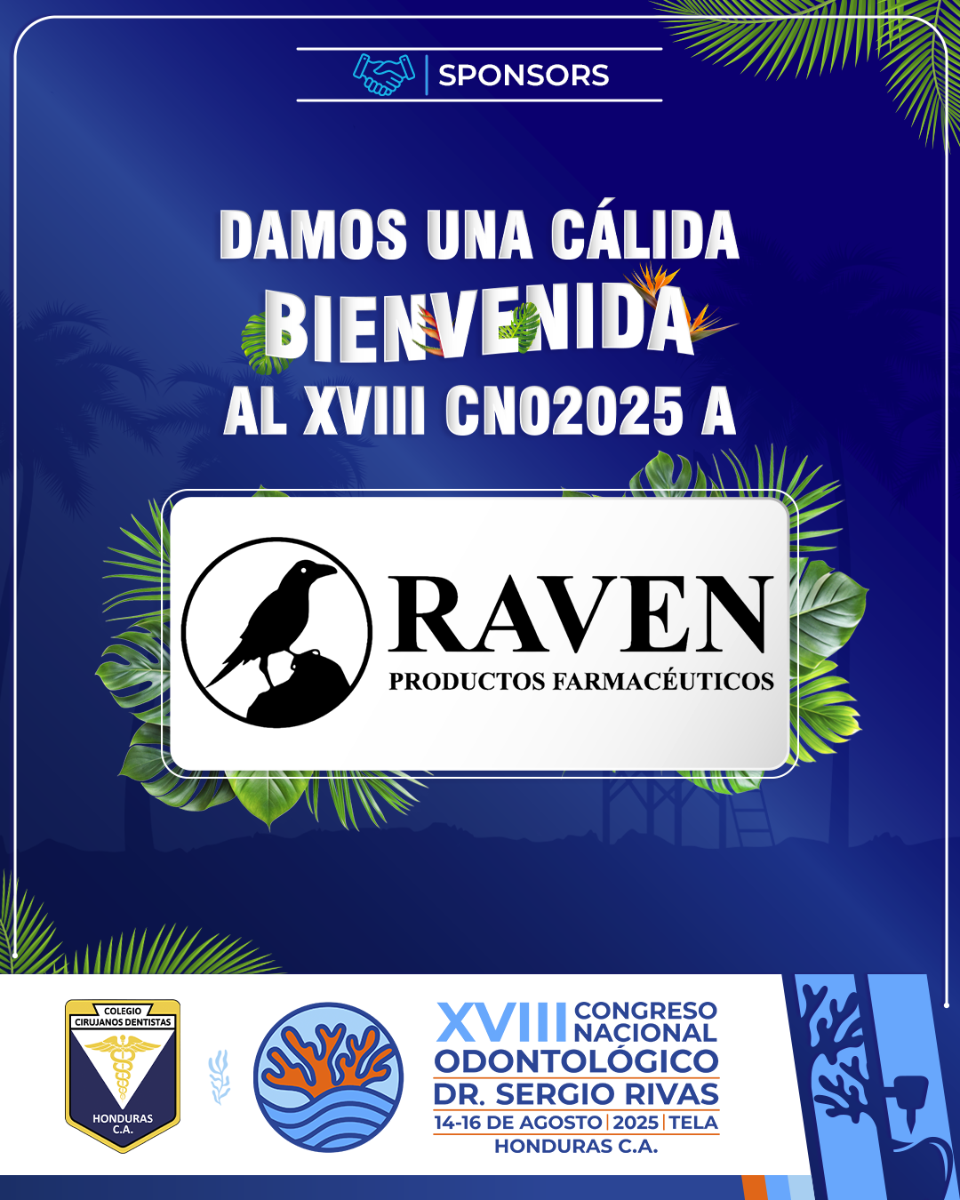 CNO25_CASAS COMERCIALES_RAVEN