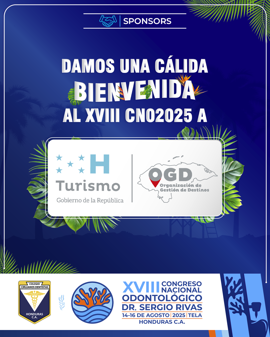 CNO25_CASAS COMERCIALES_TURISMOHN