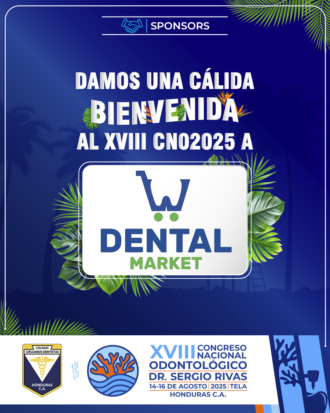 CNO25_CASAS COMERCIALES_DENTAL MARKET