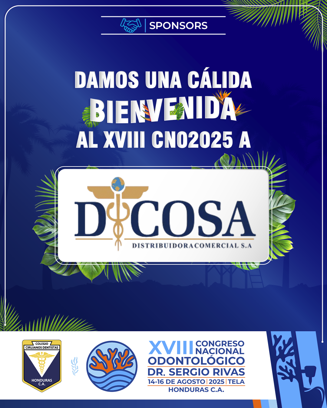 CNO25_CASAS COMERCIALES_DICOSA