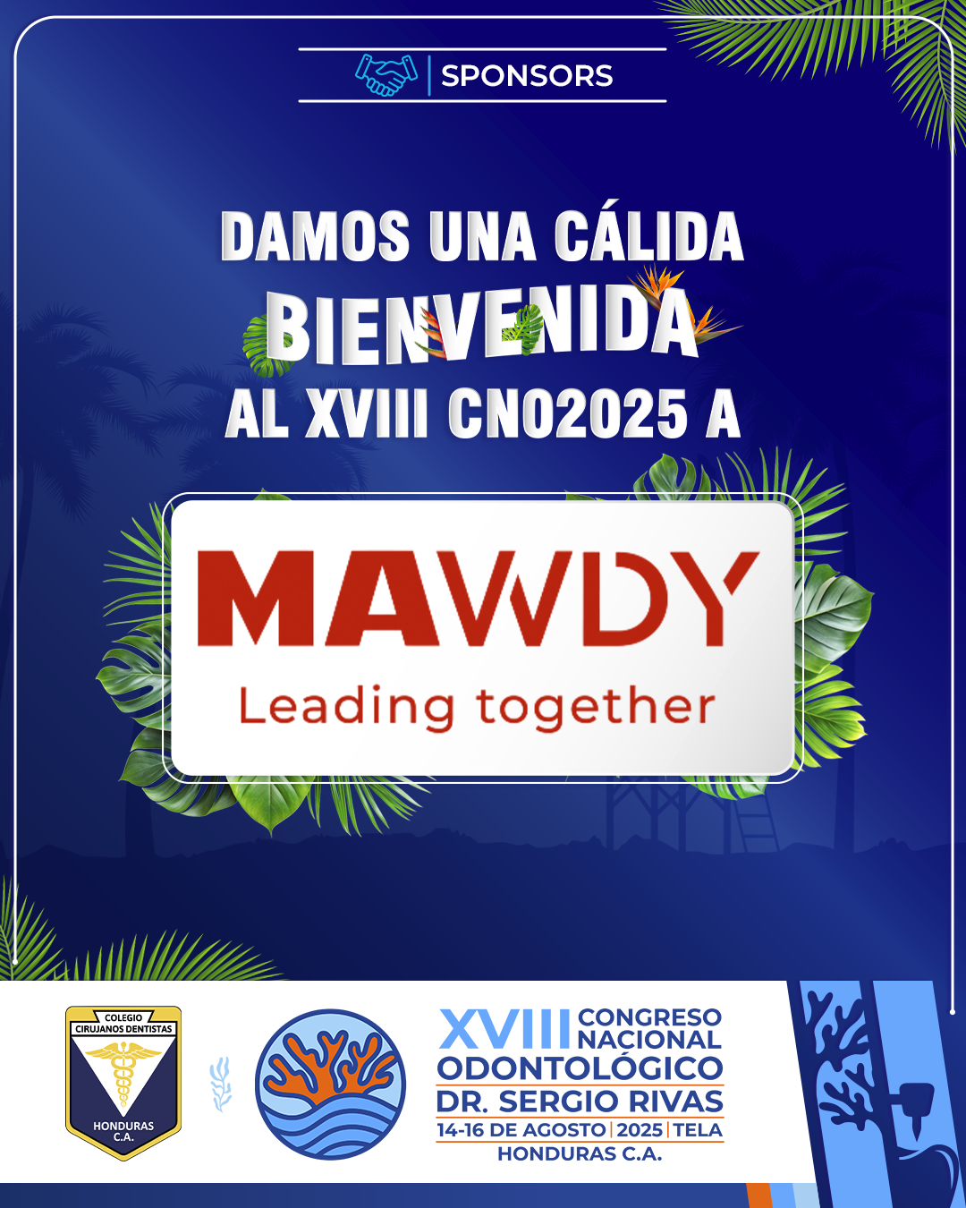 CNO25_CASAS COMERCIALES_MAWDY