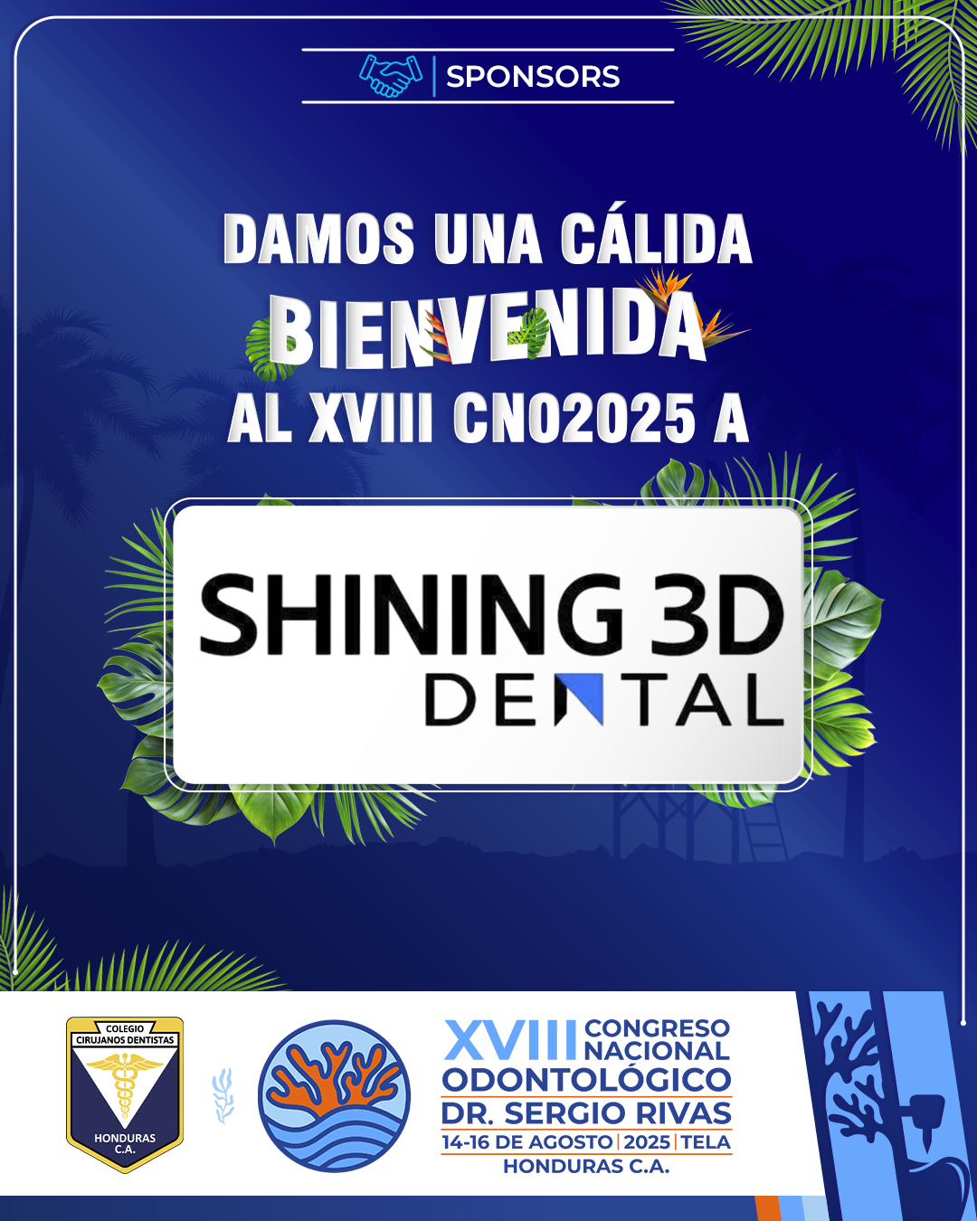 CNO25_CASAS COMERCIALES_SHINING 3D