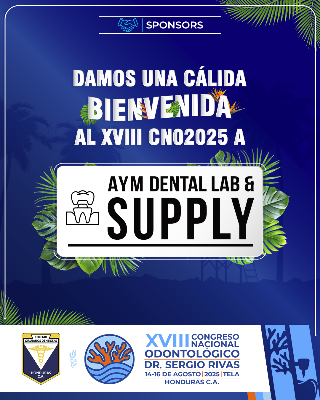 CNO25_CASAS COMERCIALES_AYM