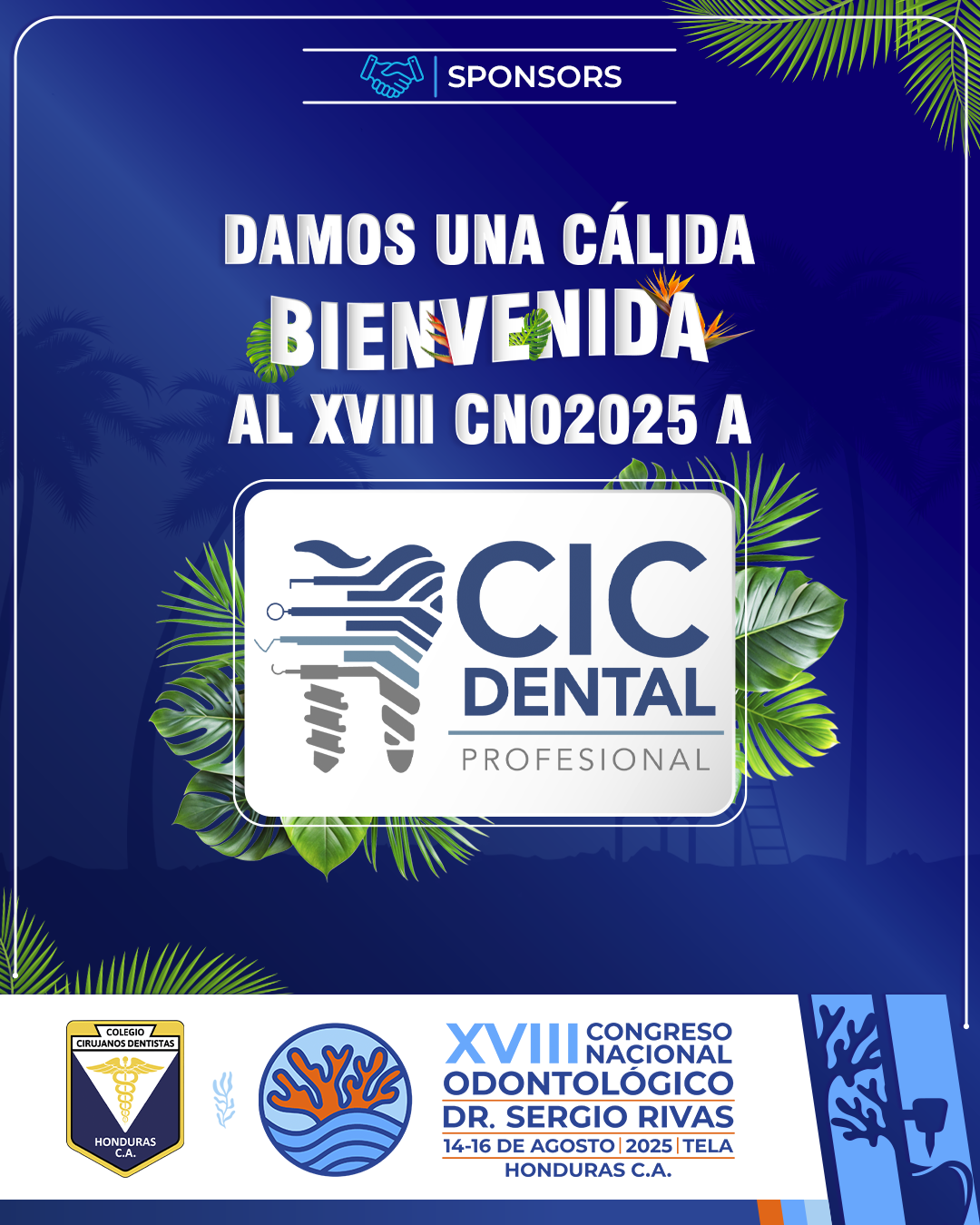 CNO25_CASAS COMERCIALES_CIC