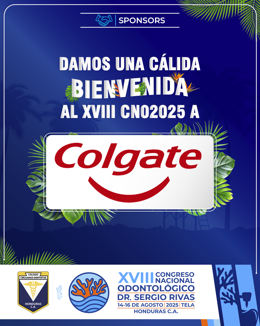 CNO25_CASAS COMERCIALES_COLGATE