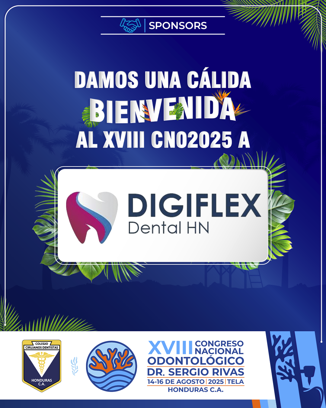 CNO25_CASAS COMERCIALES_DIGIFLEX
