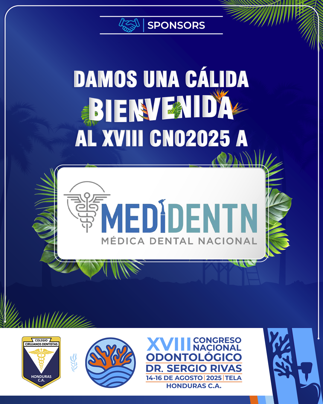 CNO25_CASAS COMERCIALES_MEDIDENTN
