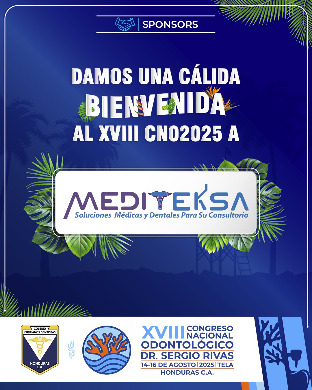 CNO25_CASAS COMERCIALES_MEDITEKSA