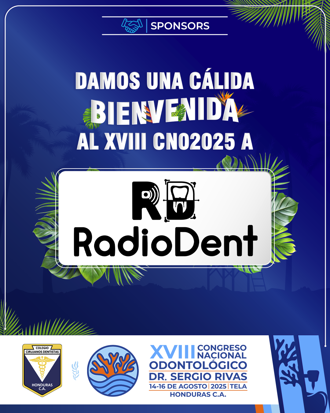 CNO25_CASAS COMERCIALES_RADIODENT